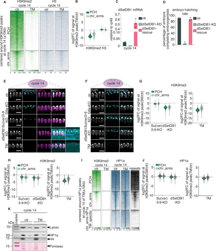 https://cdn.ncbi.nlm.nih.gov/pmc/blobs/d9ac/11217351/7150b6bbfd86/44318_2024_127_Fig10_ESM.jpg