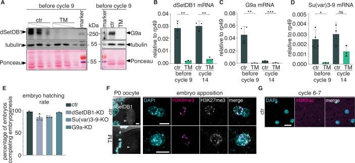 https://cdn.ncbi.nlm.nih.gov/pmc/blobs/d9ac/11217351/84ff809fbfcc/44318_2024_127_Fig8_ESM.jpg