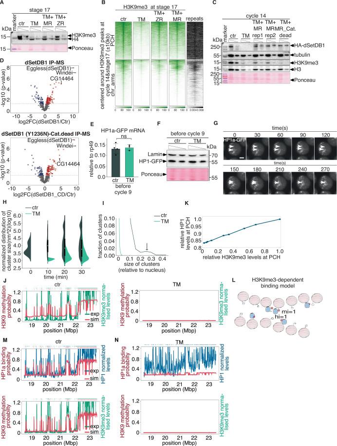 https://cdn.ncbi.nlm.nih.gov/pmc/blobs/d9ac/11217351/c2335b1756dc/44318_2024_127_Fig11_ESM.jpg