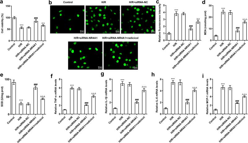 https://cdn.ncbi.nlm.nih.gov/pmc/blobs/d9ac/9161842/73e309b1bd19/KBIE_A_2053804_F0003_OC.jpg