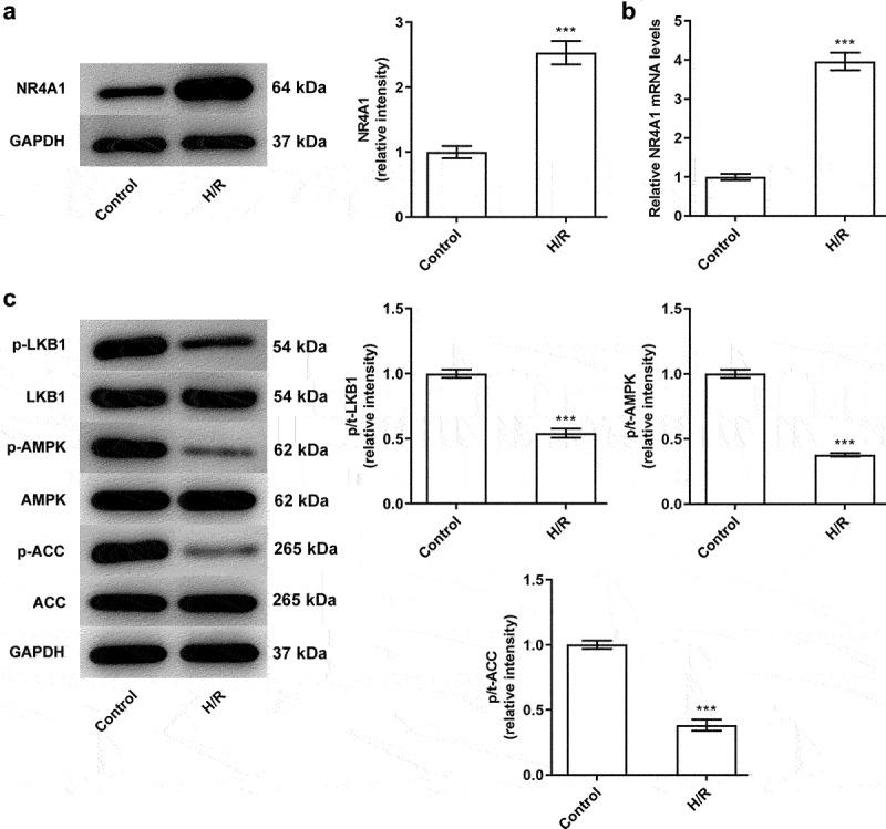 https://cdn.ncbi.nlm.nih.gov/pmc/blobs/d9ac/9161842/8a38c5e0ecd6/KBIE_A_2053804_F0001_B.jpg