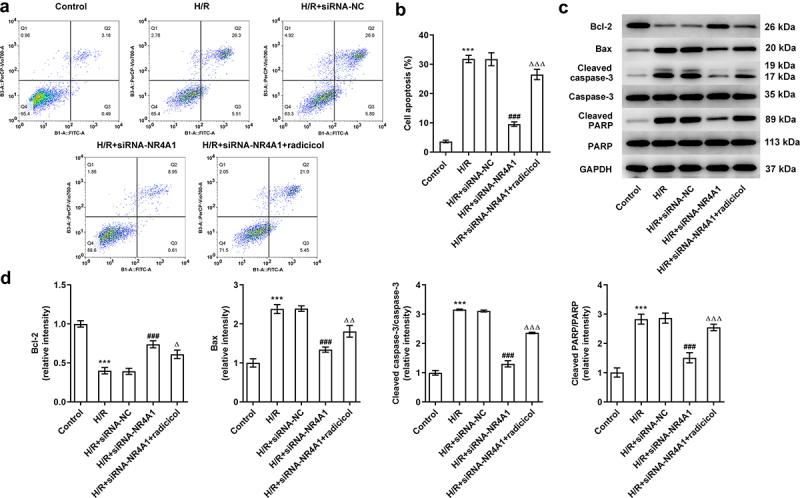 https://cdn.ncbi.nlm.nih.gov/pmc/blobs/d9ac/9161842/a8c496d5ffcb/KBIE_A_2053804_F0004_OC.jpg