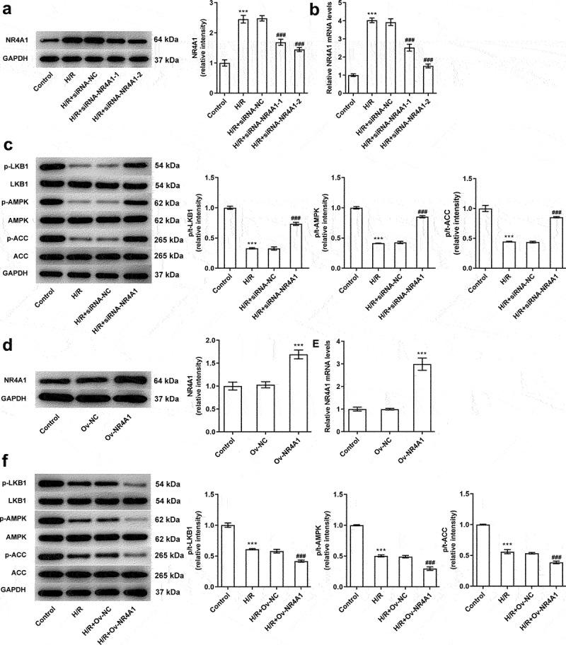 https://cdn.ncbi.nlm.nih.gov/pmc/blobs/d9ac/9161842/d7d671bfed1a/KBIE_A_2053804_F0002_B.jpg
