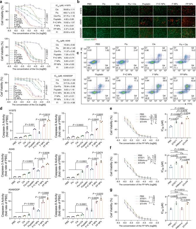 https://cdn.ncbi.nlm.nih.gov/pmc/blobs/d9ae/10980692/285f9b8a6bbb/41467_2024_47080_Fig3_HTML.jpg