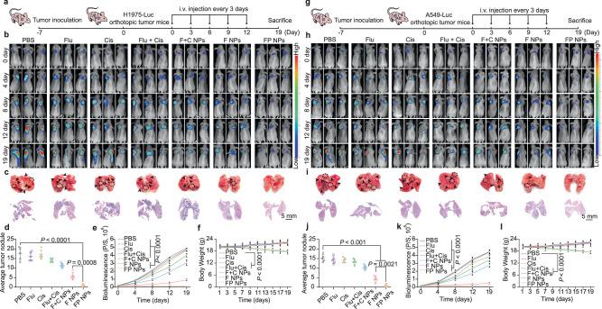 https://cdn.ncbi.nlm.nih.gov/pmc/blobs/d9ae/10980692/743f15755d38/41467_2024_47080_Fig8_HTML.jpg