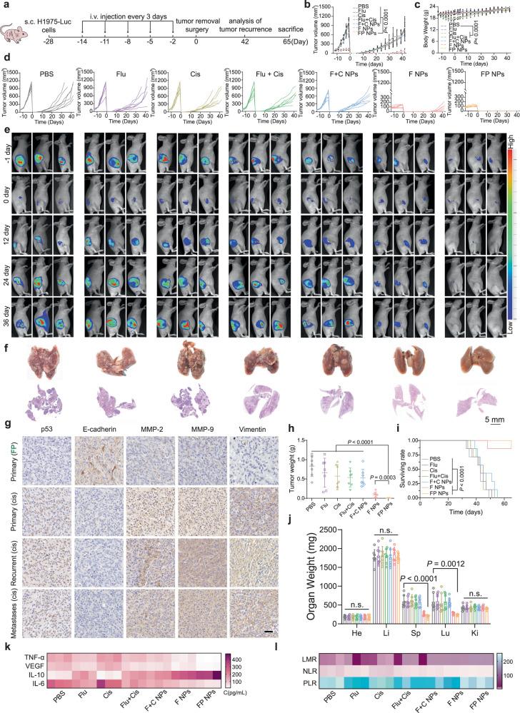 https://cdn.ncbi.nlm.nih.gov/pmc/blobs/d9ae/10980692/c76e4b94e297/41467_2024_47080_Fig9_HTML.jpg