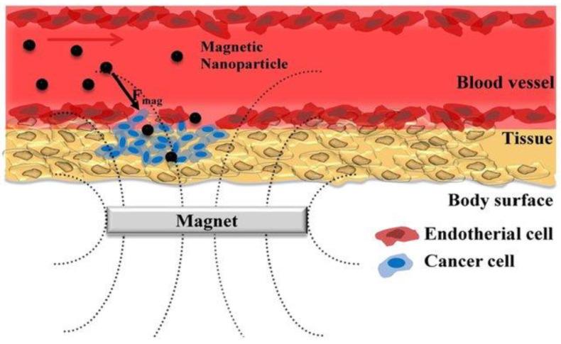 https://cdn.ncbi.nlm.nih.gov/pmc/blobs/d9ae/9957034/32414f5fbc2d/gels-09-00121-g009.jpg