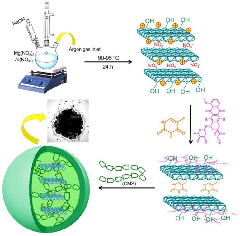 https://cdn.ncbi.nlm.nih.gov/pmc/blobs/d9ae/9957034/4b374bf92813/gels-09-00121-g006.jpg