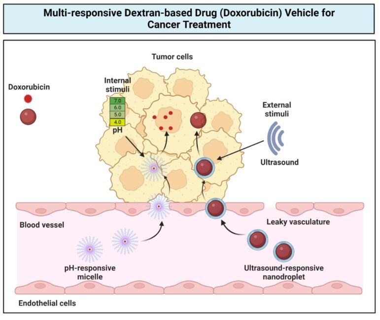 https://cdn.ncbi.nlm.nih.gov/pmc/blobs/d9ae/9957034/7fe5404a39a2/gels-09-00121-g008.jpg