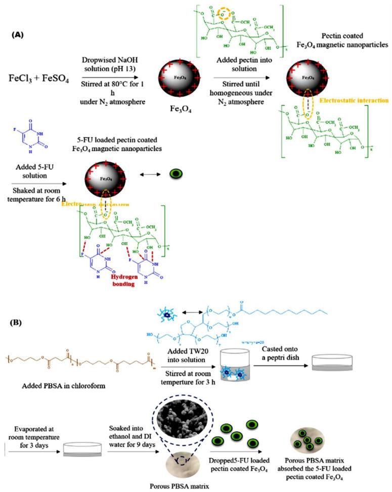 https://cdn.ncbi.nlm.nih.gov/pmc/blobs/d9ae/9957034/87c15510253a/gels-09-00121-g012.jpg