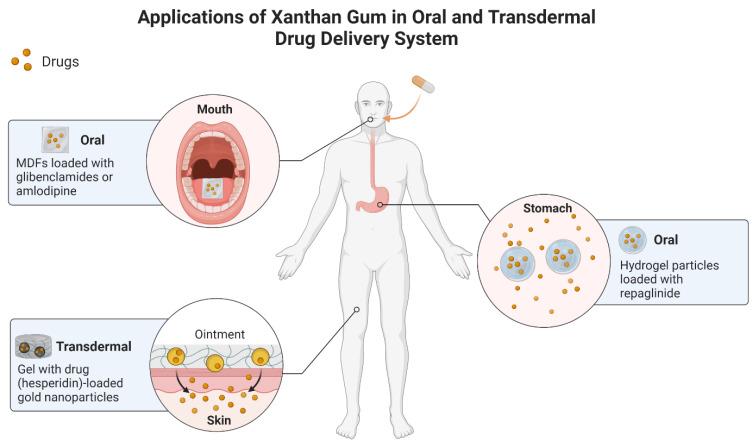 https://cdn.ncbi.nlm.nih.gov/pmc/blobs/d9ae/9957034/ad0e20383639/gels-09-00121-g007.jpg