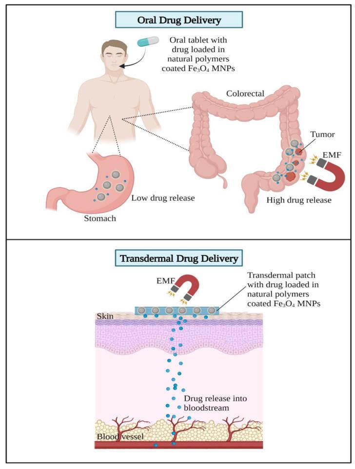 https://cdn.ncbi.nlm.nih.gov/pmc/blobs/d9ae/9957034/b10155125b96/gels-09-00121-g014.jpg
