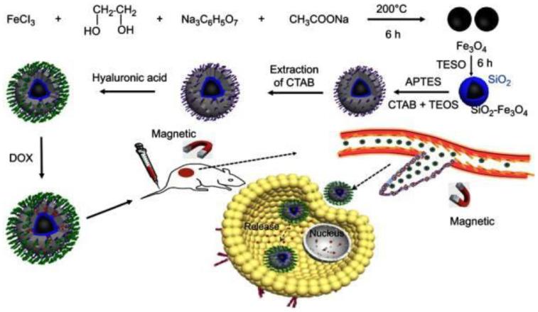 https://cdn.ncbi.nlm.nih.gov/pmc/blobs/d9ae/9957034/e87f87cbbaea/gels-09-00121-g011.jpg