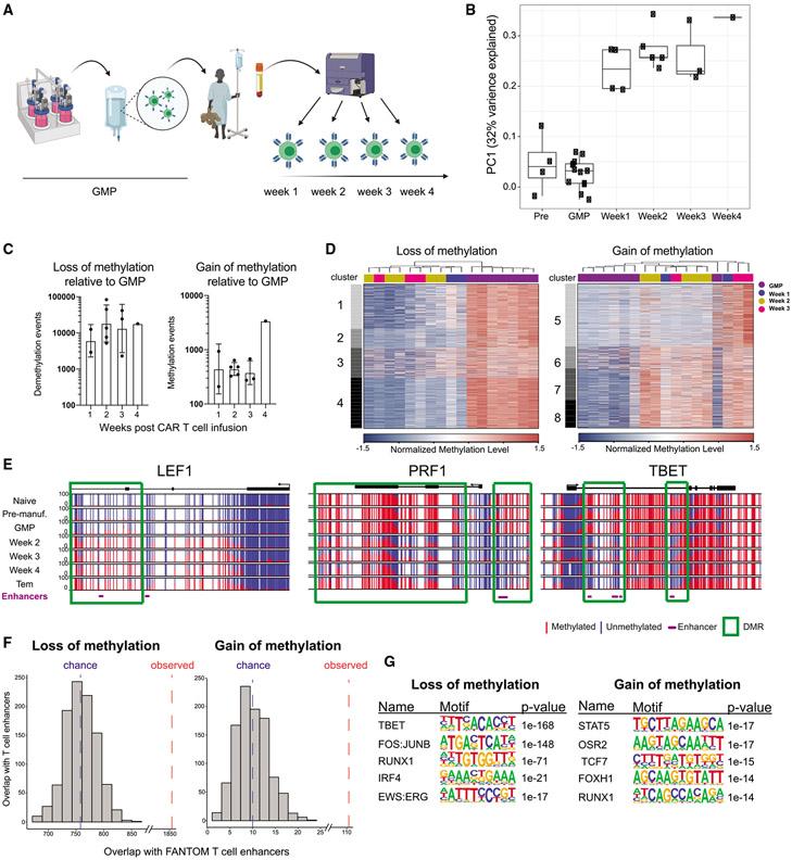 https://cdn.ncbi.nlm.nih.gov/pmc/blobs/d9af/8800370/dc1cb417c2f4/nihms-1769771-f0002.jpg