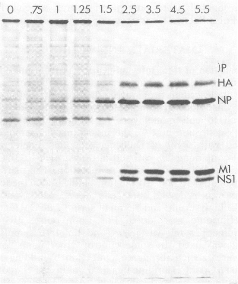 https://cdn.ncbi.nlm.nih.gov/pmc/blobs/d9b5/254018/e57c7034f2e2/jvirol00094-0136-a.jpg