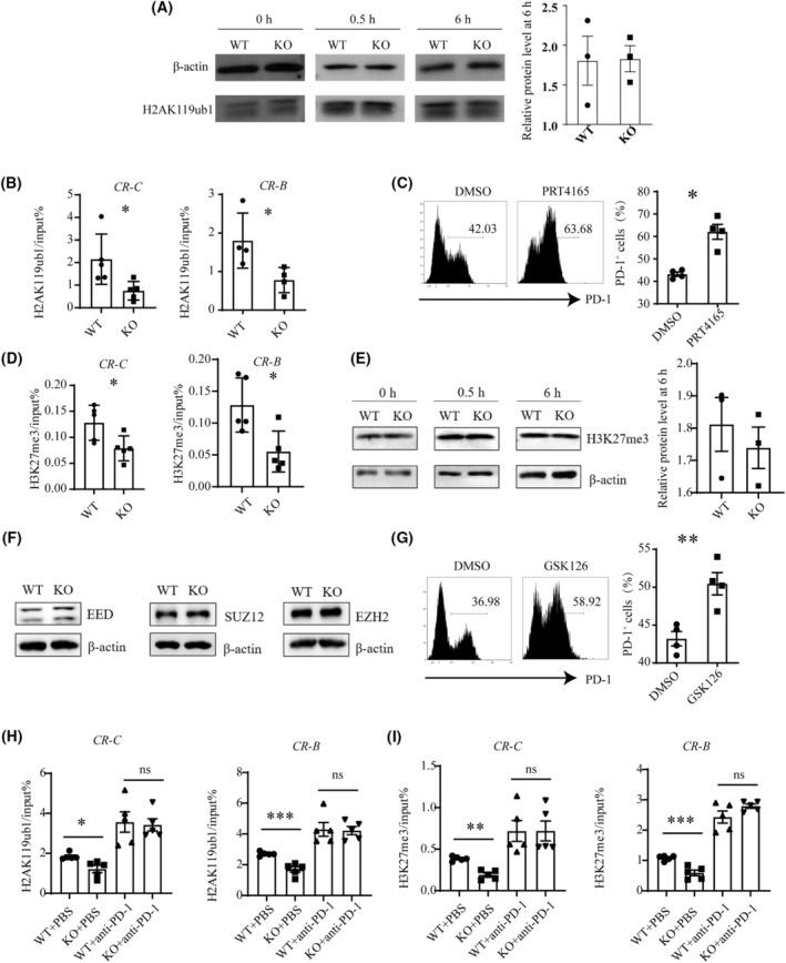 https://cdn.ncbi.nlm.nih.gov/pmc/blobs/d9b6/10701776/2918e3b4cb6d/MOL2-17-2694-g004.jpg