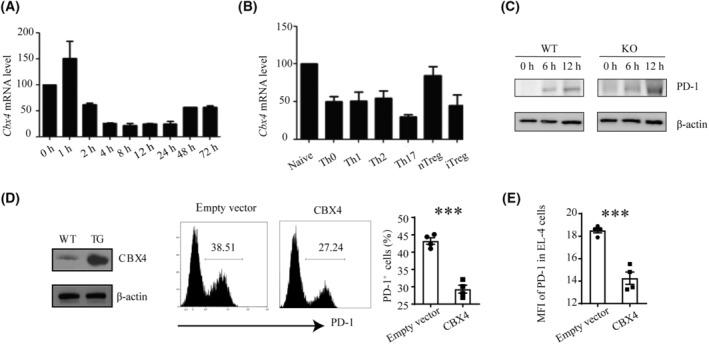 https://cdn.ncbi.nlm.nih.gov/pmc/blobs/d9b6/10701776/2dc2bb2f6f85/MOL2-17-2694-g001.jpg