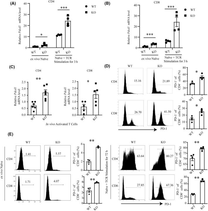 https://cdn.ncbi.nlm.nih.gov/pmc/blobs/d9b6/10701776/a2796735b706/MOL2-17-2694-g002.jpg