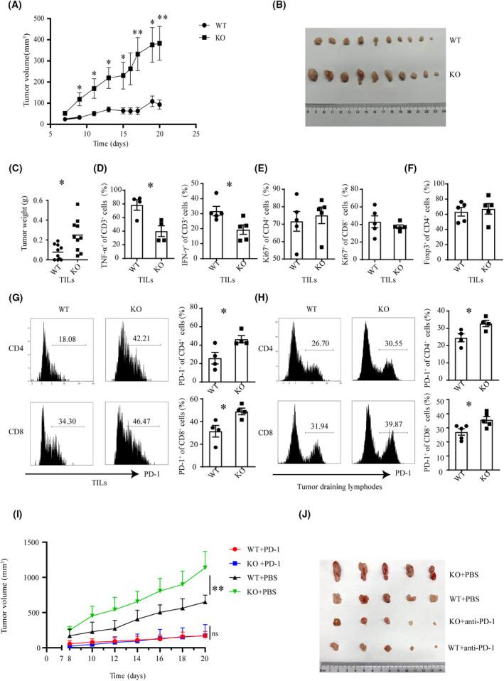 https://cdn.ncbi.nlm.nih.gov/pmc/blobs/d9b6/10701776/c1b823decf1d/MOL2-17-2694-g006.jpg