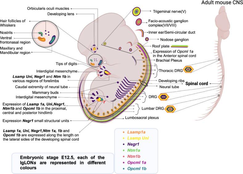 https://cdn.ncbi.nlm.nih.gov/pmc/blobs/d9b7/11442611/4a9810ddc245/41598_2024_73358_Fig7_HTML.jpg