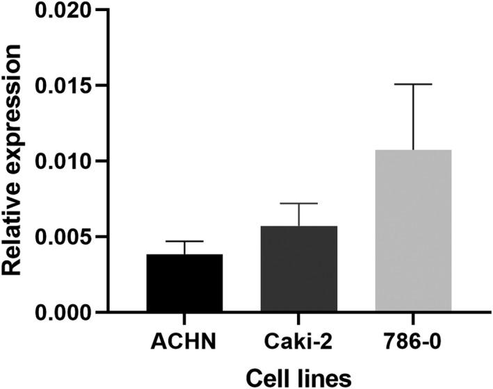 https://cdn.ncbi.nlm.nih.gov/pmc/blobs/d9b7/9169165/cc0e76481823/JCLA-36-e24442-g001.jpg