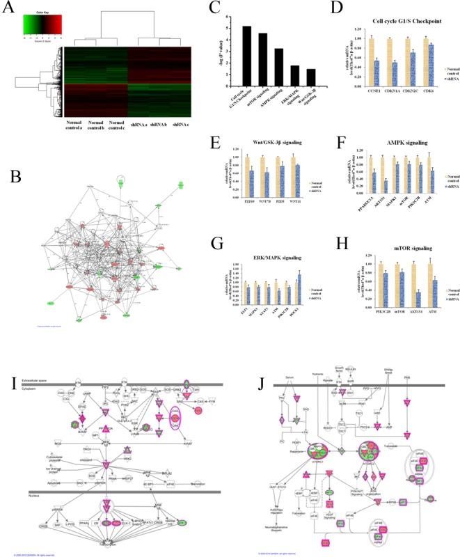 https://cdn.ncbi.nlm.nih.gov/pmc/blobs/d9bb/5601160/cd6e685eff61/oncotarget-08-60539-g007.jpg