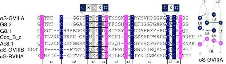 https://cdn.ncbi.nlm.nih.gov/pmc/blobs/d9bd/12203953/2bf4fbae1941/BCJ-482-11-BCJ20240753-g004.jpg
