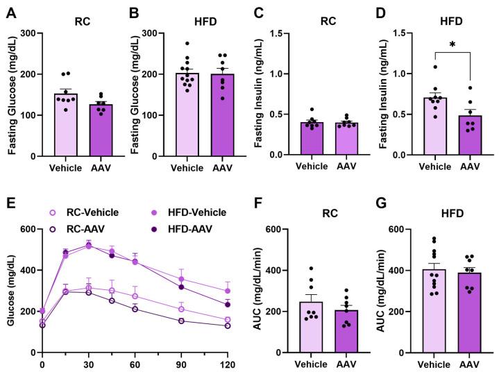 https://cdn.ncbi.nlm.nih.gov/pmc/blobs/d9bf/11755535/5edfbdbe21fe/pathophysiology-32-00001-g003.jpg