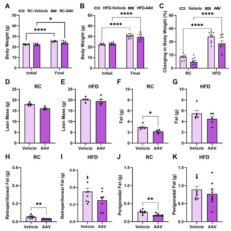 https://cdn.ncbi.nlm.nih.gov/pmc/blobs/d9bf/11755535/77ef963d9a58/pathophysiology-32-00001-g002.jpg