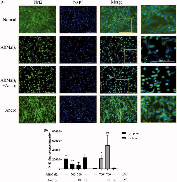 https://cdn.ncbi.nlm.nih.gov/pmc/blobs/d9c0/7919883/05bea0810427/IPHB_A_1883678_F0004_C.jpg