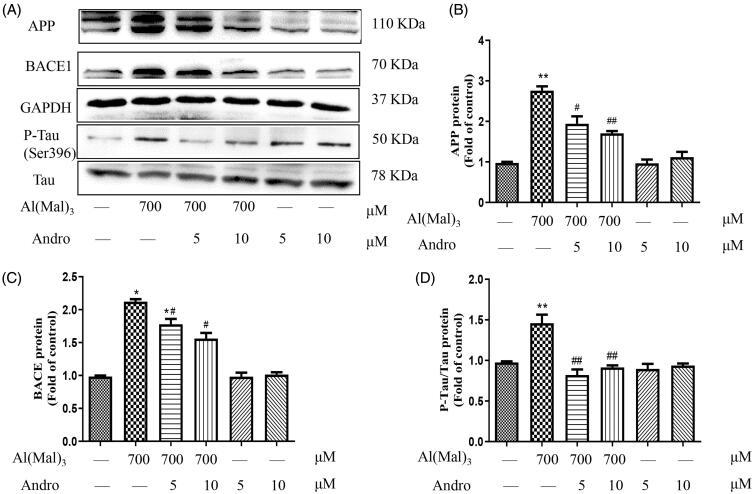 https://cdn.ncbi.nlm.nih.gov/pmc/blobs/d9c0/7919883/36fdde98836d/IPHB_A_1883678_F0002_B.jpg