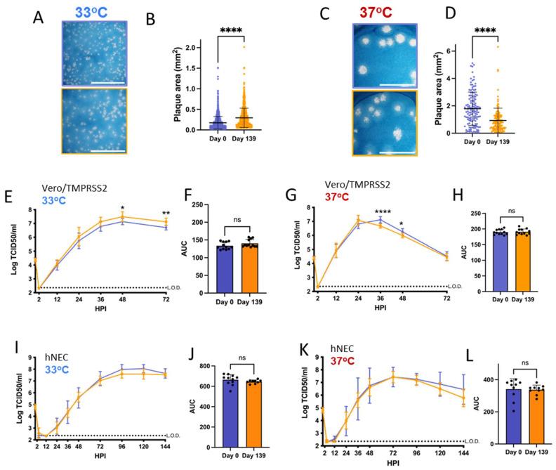 https://cdn.ncbi.nlm.nih.gov/pmc/blobs/d9c2/11437501/1acdcb30a395/viruses-16-01436-g005.jpg