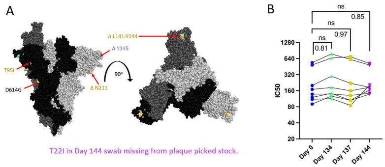 https://cdn.ncbi.nlm.nih.gov/pmc/blobs/d9c2/11437501/4fbd062b6cda/viruses-16-01436-g003.jpg