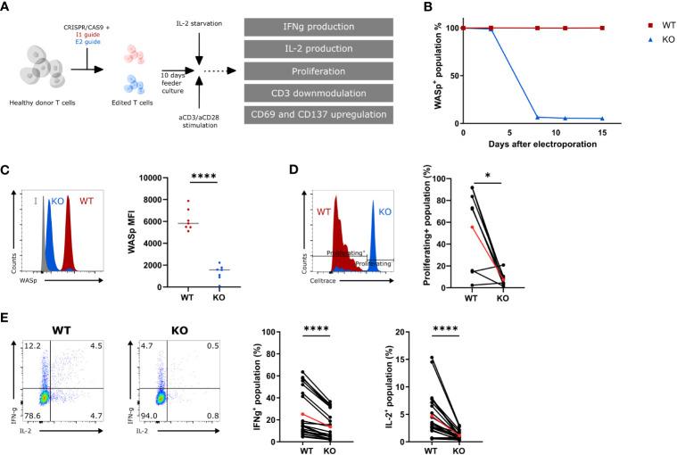 https://cdn.ncbi.nlm.nih.gov/pmc/blobs/d9c4/10282776/e37c8fc9fea2/fimmu-14-1188099-g001.jpg