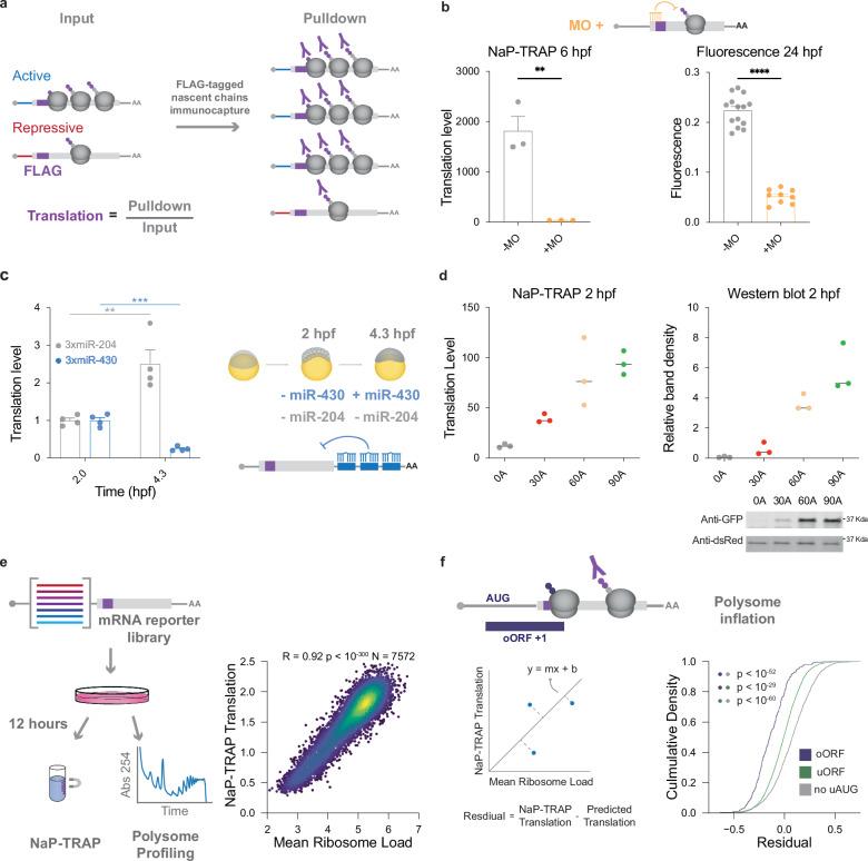 https://cdn.ncbi.nlm.nih.gov/pmc/blobs/d9c4/11685710/88112dc1b36b/41467_2024_55274_Fig1_HTML.jpg