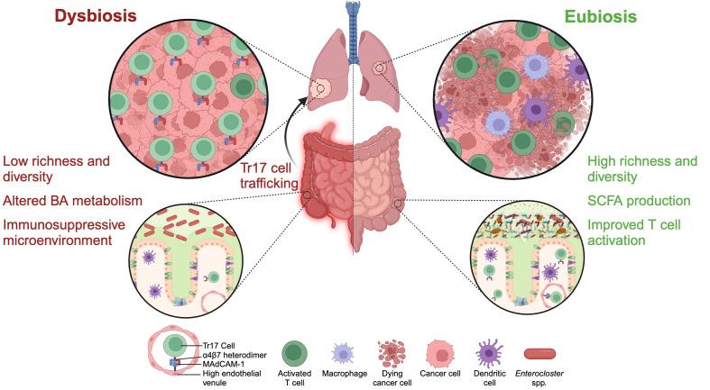 https://cdn.ncbi.nlm.nih.gov/pmc/blobs/d9c6/12049984/139e0e885c51/jitc-13-4-g001.jpg