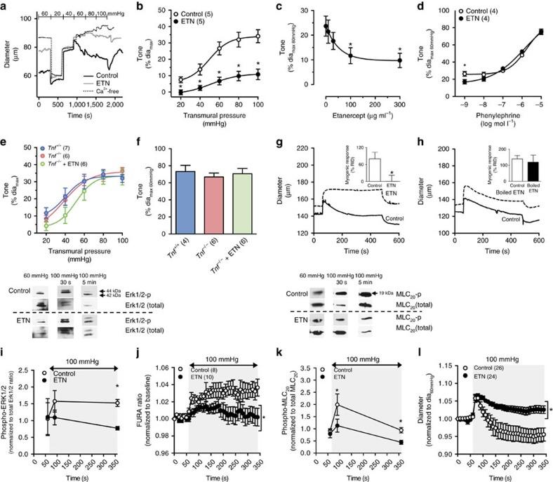https://cdn.ncbi.nlm.nih.gov/pmc/blobs/d9c8/5382284/bcfe66cf1f9c/ncomms14805-f4.jpg