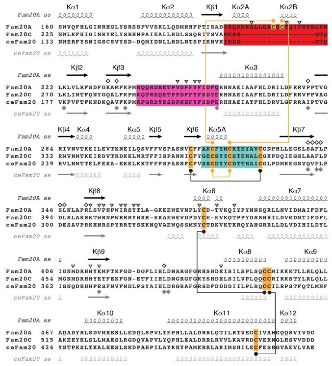 https://cdn.ncbi.nlm.nih.gov/pmc/blobs/d9c9/5413348/1b098a9efdb1/elife-23990-fig1-figsupp1.jpg