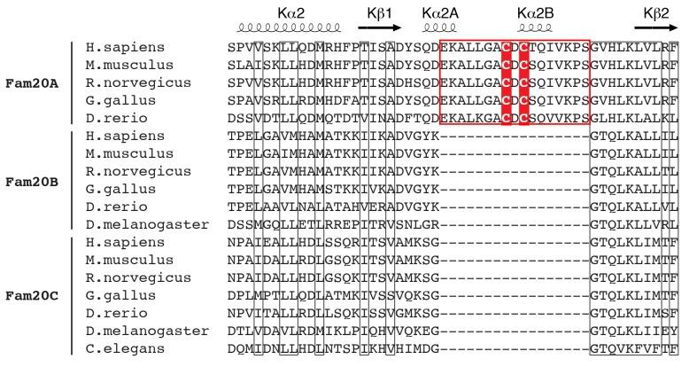 https://cdn.ncbi.nlm.nih.gov/pmc/blobs/d9c9/5413348/7681b1c8a7d3/elife-23990-fig1-figsupp2.jpg