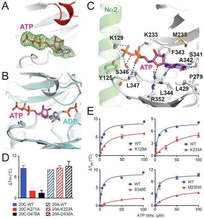 https://cdn.ncbi.nlm.nih.gov/pmc/blobs/d9c9/5413348/7df12f32b983/elife-23990-fig3.jpg