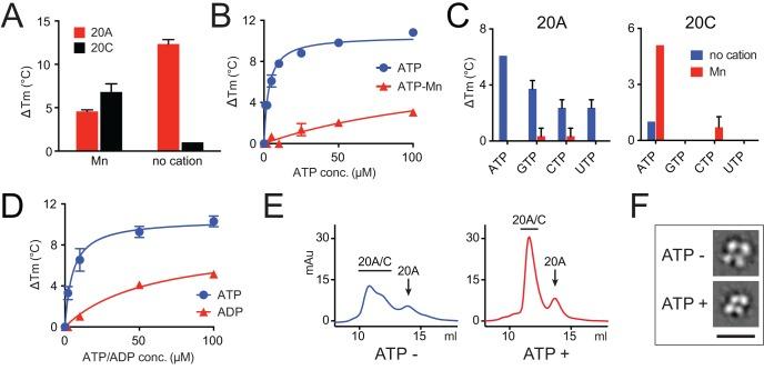 https://cdn.ncbi.nlm.nih.gov/pmc/blobs/d9c9/5413348/ad9b9b61c110/elife-23990-fig2.jpg