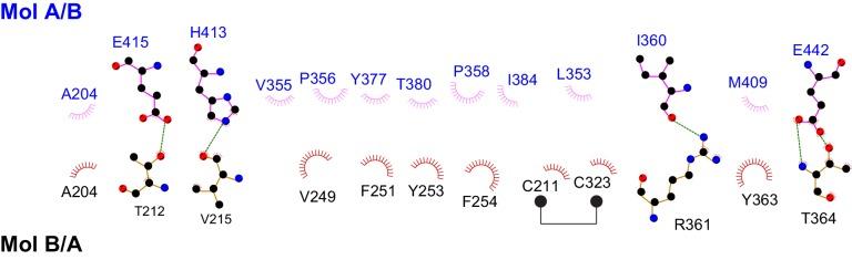 https://cdn.ncbi.nlm.nih.gov/pmc/blobs/d9c9/5413348/e2967e2b62a2/elife-23990-fig4-figsupp1.jpg