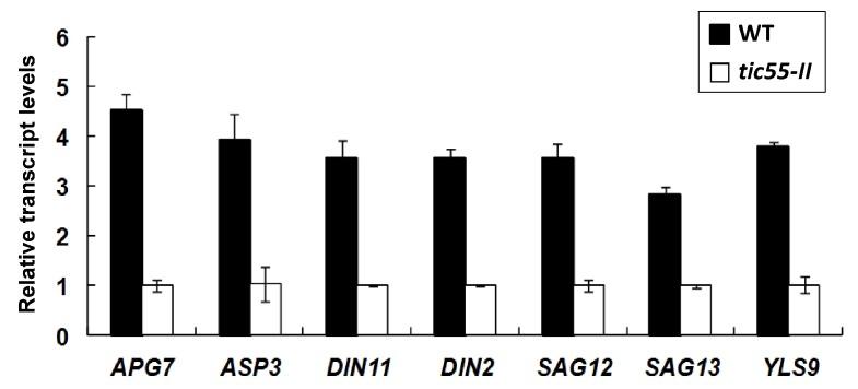https://cdn.ncbi.nlm.nih.gov/pmc/blobs/d9ca/6073118/30a30b19cf29/ijms-19-01854-g007.jpg
