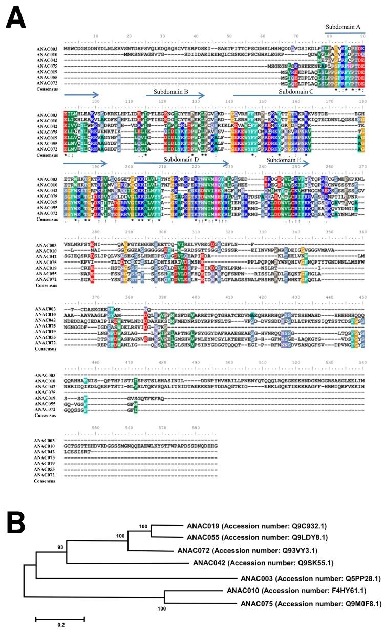 https://cdn.ncbi.nlm.nih.gov/pmc/blobs/d9ca/6073118/3aff25dc2dd9/ijms-19-01854-g008.jpg
