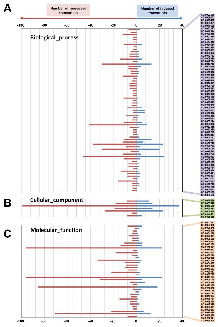 https://cdn.ncbi.nlm.nih.gov/pmc/blobs/d9ca/6073118/9492bbeb2707/ijms-19-01854-g006.jpg