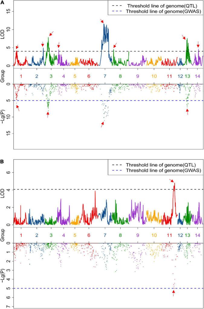 https://cdn.ncbi.nlm.nih.gov/pmc/blobs/d9ca/9577236/17e7238313f3/fpls-13-969820-g002.jpg