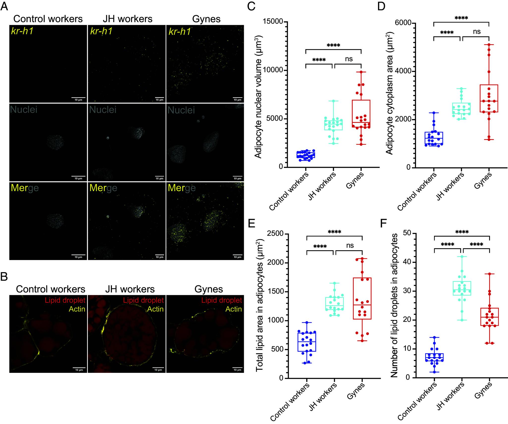 https://cdn.ncbi.nlm.nih.gov/pmc/blobs/d9cb/11573667/22d212dd611a/pnas.2406999121fig03.jpg