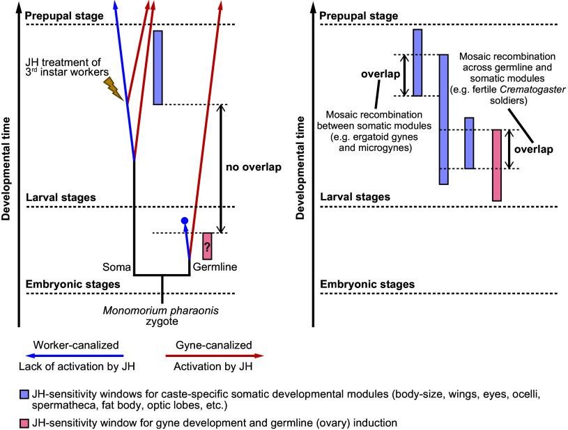 https://cdn.ncbi.nlm.nih.gov/pmc/blobs/d9cb/11573667/83b5c475081a/pnas.2406999121fig06.jpg