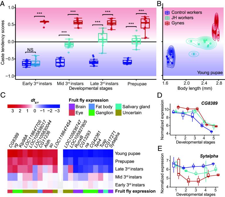 https://cdn.ncbi.nlm.nih.gov/pmc/blobs/d9cb/11573667/af585457c445/pnas.2406999121fig05.jpg