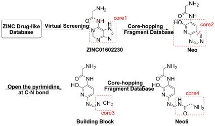 https://cdn.ncbi.nlm.nih.gov/pmc/blobs/d9cb/3227604/60e7264198d3/pone.0028111.g002.jpg